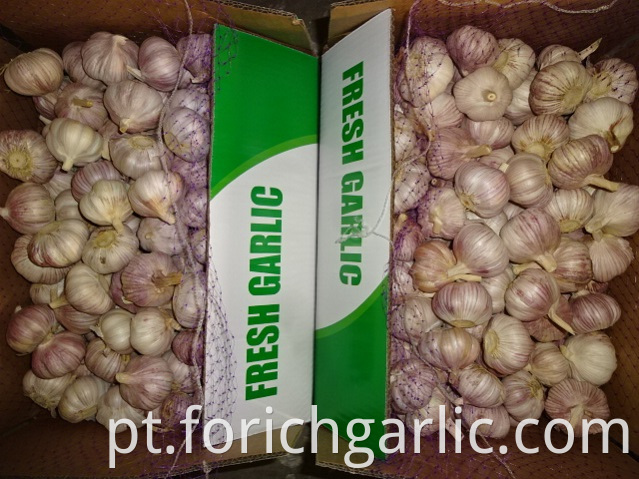 Size 5 0cm Fresh Garlic 2019